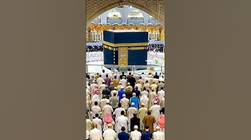beautiful Islamic status #سورة_الإخلاص #ikhlas #madina #makkah #love #quran #tilwatquran