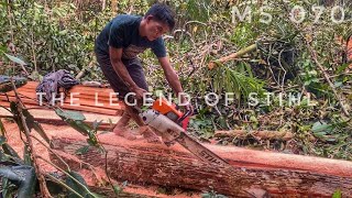 EXCELLENT‼️ PENGOLAHAN KAYU KETAPANG || OPERATOR NYA SEMPAT DI PRANK KARENA INGIN MEMBUAT PAPAN ....