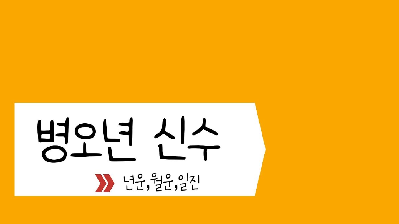 병오년 운세 - 년운 월운 일진