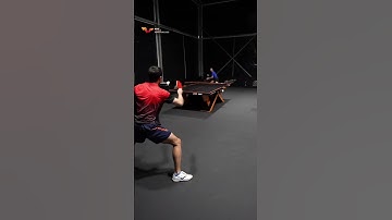 Hugo CALDERANO & Bruna TAKAHASHI (BRA) Table tennis long distance Loop training for the WTT Final