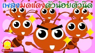 Video thumbnail of "เพลงมดแดงตัวน้อยตัวนิด ♫ Thai ant go marching song เพลงเด็กอนุบาล Indysong Kids"