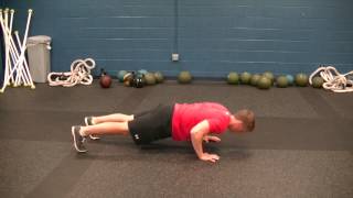 www.rebel-performance.com:  Push Up to 1 Arm Support