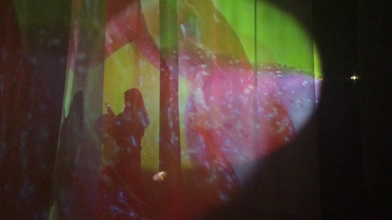 Pipilotti Rist: Pixel Forest @ New Museum, NYC