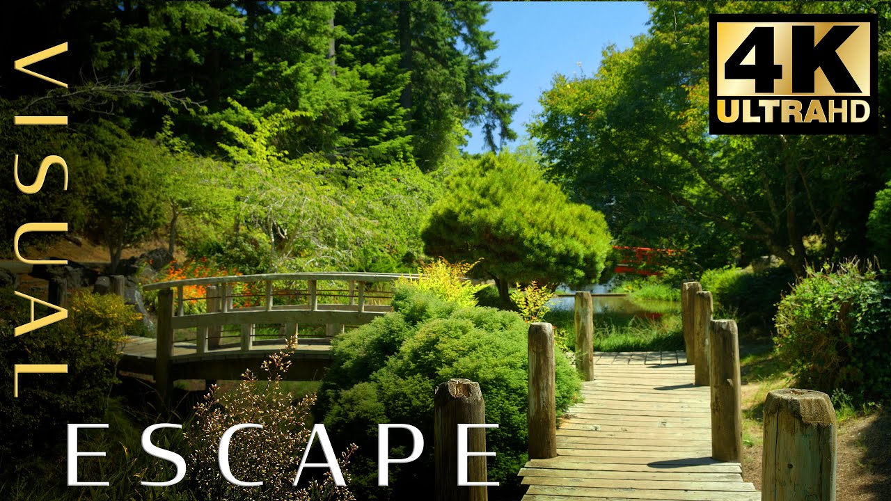 ⚡ Energizing Music for Focus Concentration - Oregon Boardwalk - North Bend