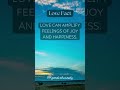 Amplifying Joy and Happiness: The Radiance of Love Unveiled