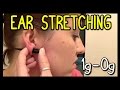 Ear Stretching First Time 1G to 0G 📍 How To With Kristin