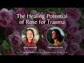 The healing potential of rose for trauma with herbalist and author amanda nicole