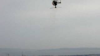 Raptor V1 50 -  Inverted hover test