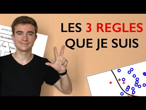 Vidéo: Comment fonctionne un algorithme de classification ?