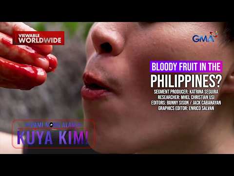 Prutas na matatagpuan lang sa Palawan, mala-dugo ang laman? | Dami Mong Alam, Kuya Kim!
