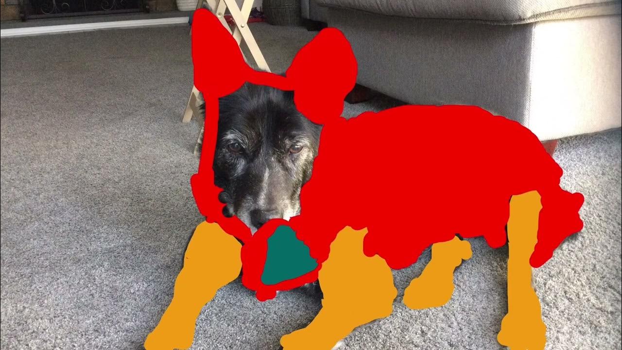 Iron dog YouTube