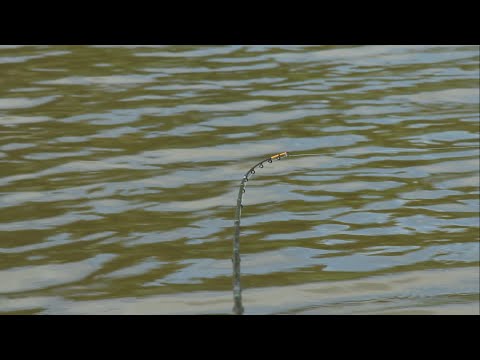 Video: Jimbo Fisherin nettoarvo: Wiki, naimisissa, perhe, häät, palkka, sisarukset