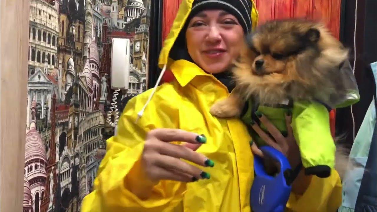 НОВЫЙ Комбинезон для Шпица - YouTube