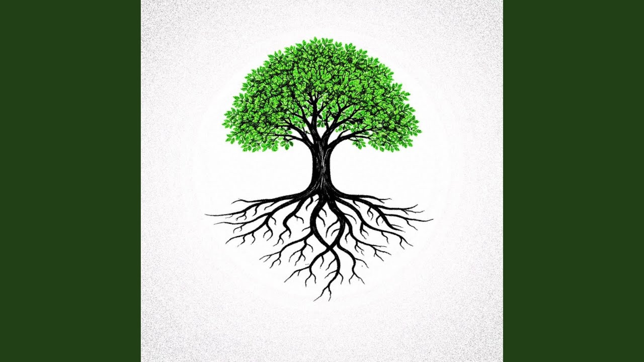 Watch Rooted on YouTube Watch Rooted on YouTube