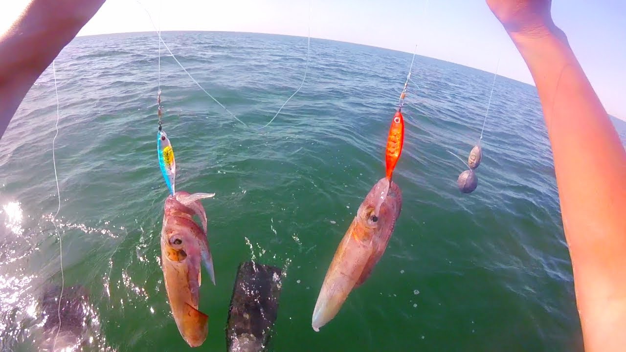 كيفية صيد الكلمار (pêche kalamar) فوق العجلة المطاطية الشمبرير جنوب المغرب