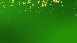 Green screen golden particles loop  Effects After Effects , premier Pro