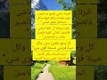 طريق الحياة ما بين الألم والأمل  اقنباسات جميع علم النفس متابعين العلم