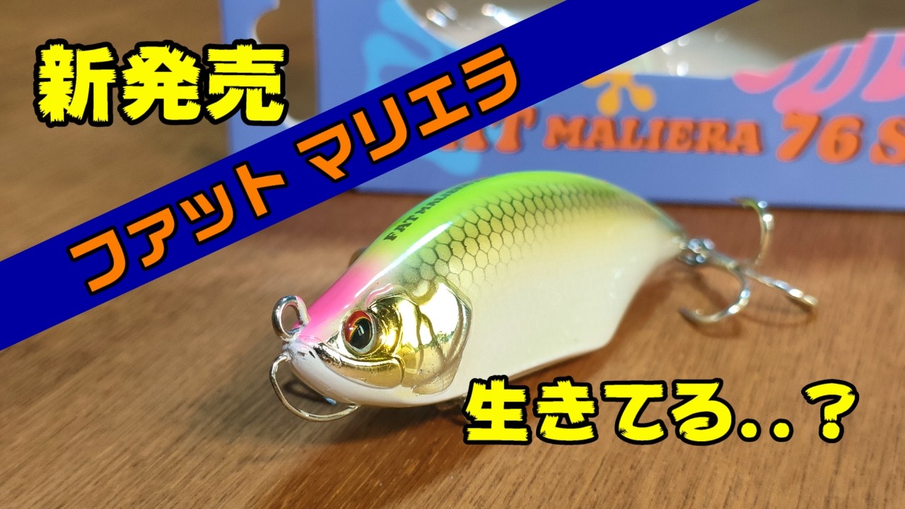 New Release] Swim video included! Get your hands on the highly
