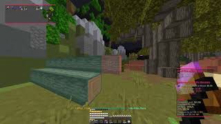 Hypixel Skyblock | Best Foraging Macro | Taunahi+