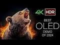 4K OLED TV Screen Test - Mind-Blowing HDR Quality at 60fps (Dolby Vision)
