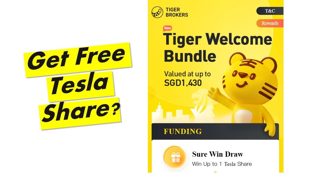 How to Start stock Investing? Navigating in the Tiger Brokers App