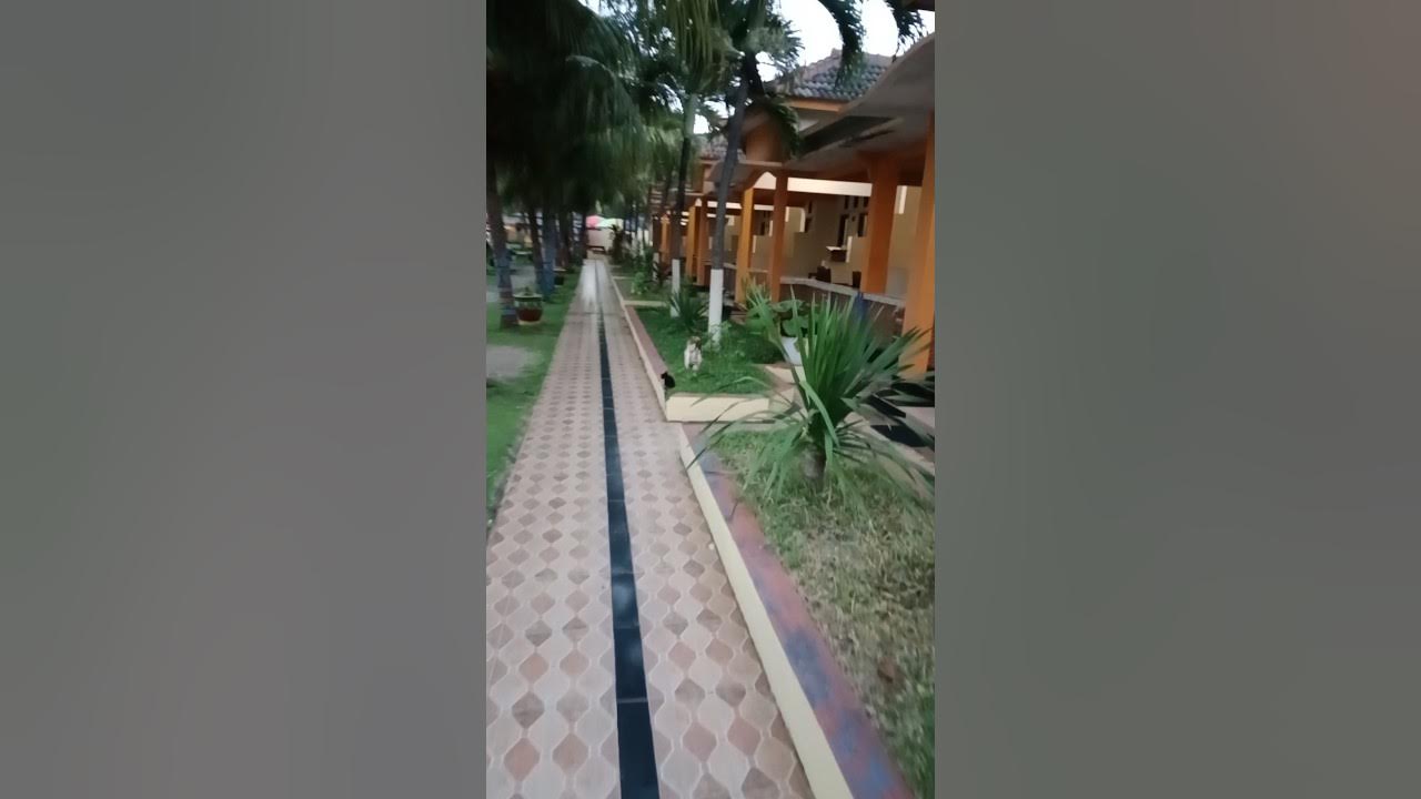 VIEW PENGINAPAN DIBIBIR PANTAI PASIR PUTIH SITUBONDO YouTube