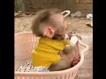せっかちな子猿