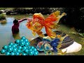 😱😱The giant clams guarded by goldfish contain precious and beautiful pearls, which are intoxicating