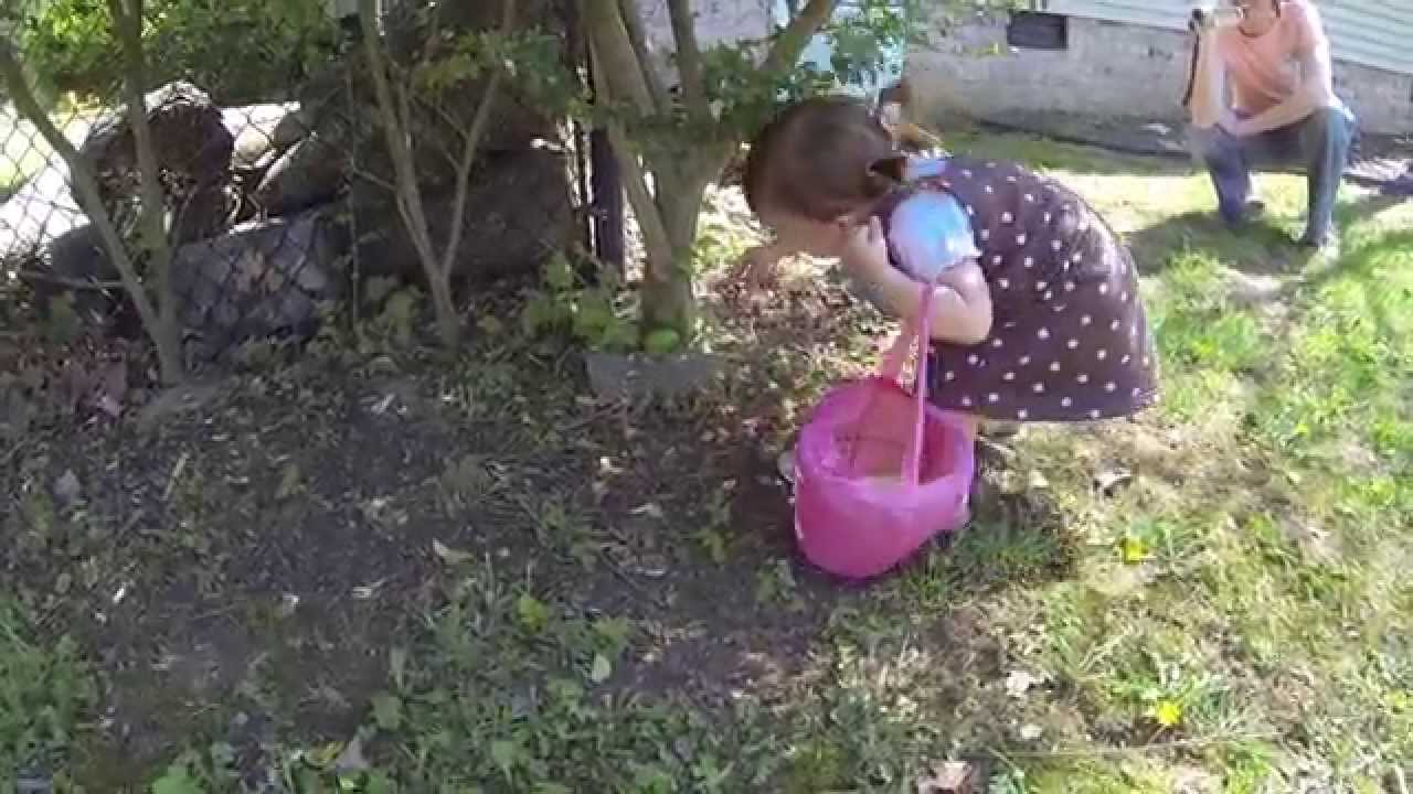 Easter Egg Hunt 2014 - YouTube