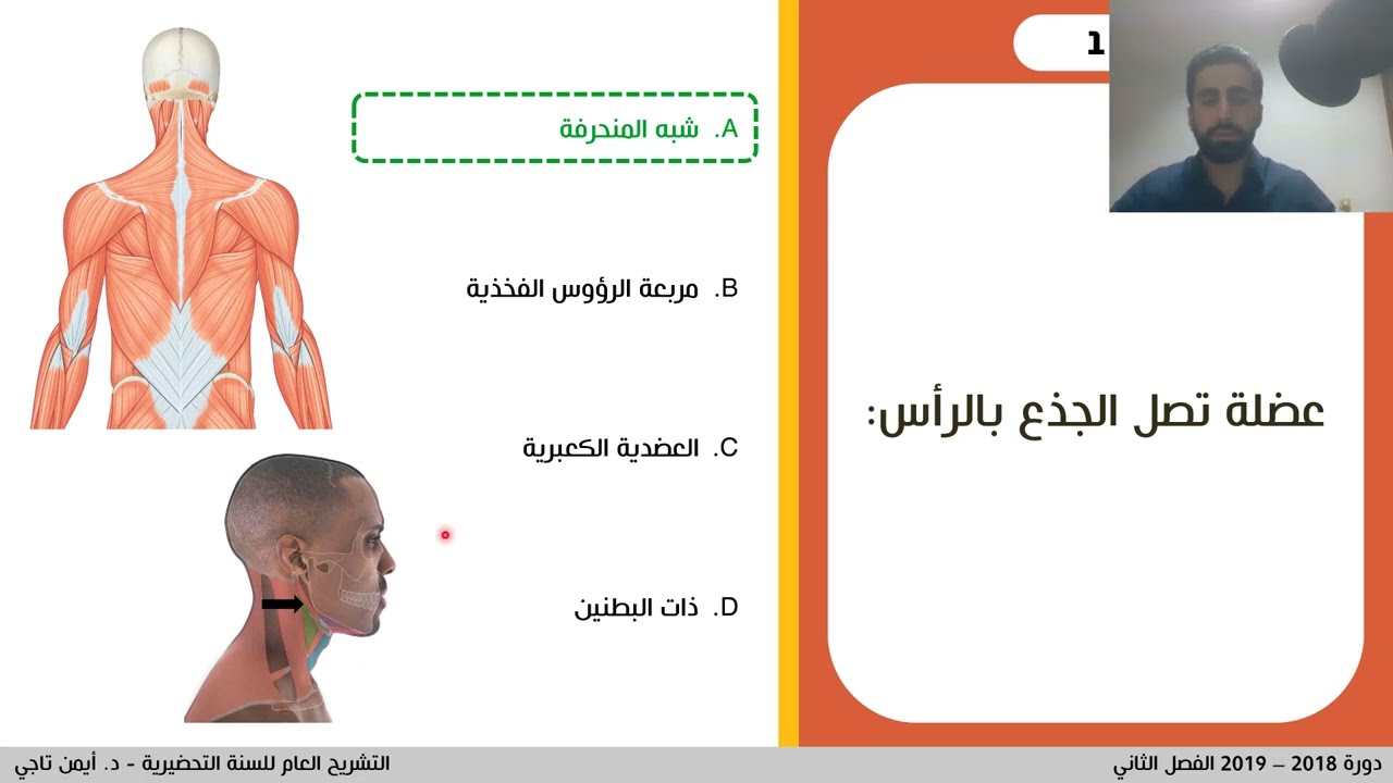 الفصل الثالث - الجهاز العضلي 2 - أسئلة ومراجعة