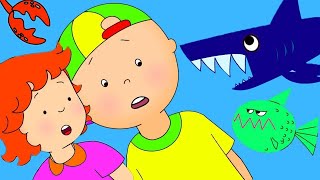 Caillou And The Sea Animals Funny Animated Caillou Cartoons For Kids Caillou