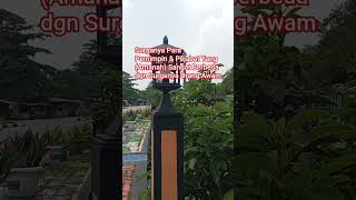 Surganya Para Pemimpin Dan Pejabat Yang Amanah Berbedasurgapemimpinpejabatamanahberbedahukum