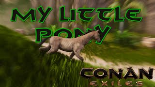 Conan Exiles Searching for Foals