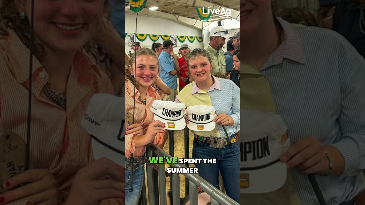 The Secret to Winning Livestock Shows 