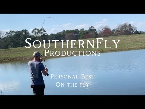 How to catch BIG bass on the fly!! My PB largemouth on Orvis 6wt!