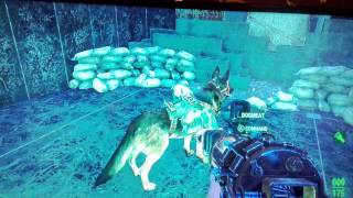 Lost Dogmeat? Fallout 4