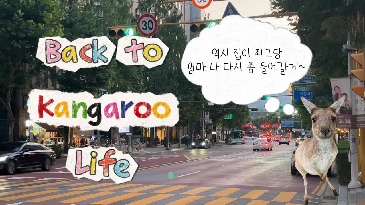 캥거루족으로 다시 컴백하다