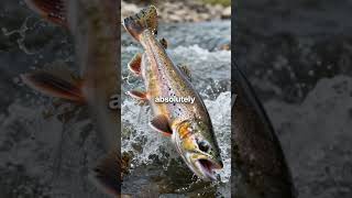 4-Minute Mayfly Hatch Changed Fly Fishing Forever
