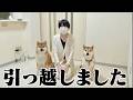 【新居】突然ですが一軒家からマンションで暮らすことになりました。