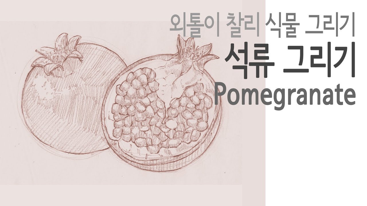[Plant Drawing(Pencil)] Fruit 09 - Pomegranate(석류) 