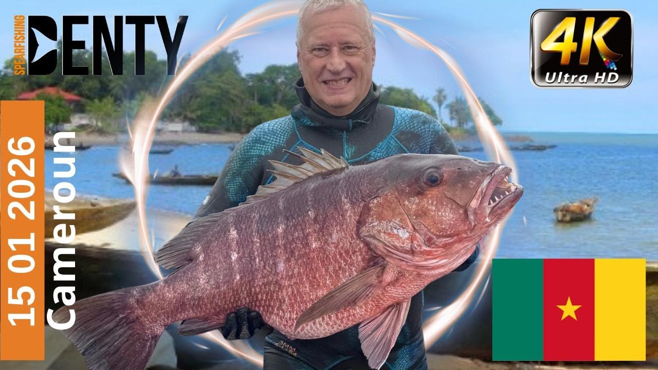 Chasse sous-marine au Cameroun – Jour 4 : L’épaves du Remorqueur