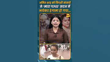 Opposition MPs Pelted Stones At Amit Shah There Was A Huge Uproar In The House Shorts Short 