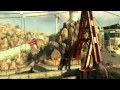 Sie werden diesen verrückten Tomahawk Kill in Black Ops II nicht für möglich halten