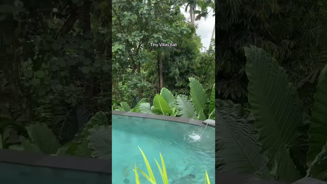 Bali villas , looking where to stay at affordable prices in Ubud Bali check out Tiny villas Ubud .