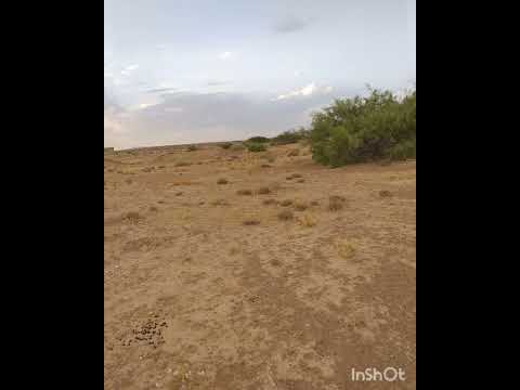 ذكر اولاد جدي عبيد