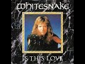 Whitesnake  is this love