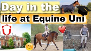 A DAY IN THE LIFE at Hartpury Equine University | Ride Every Stride
