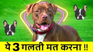 Pitbull लेणे से पेहले ये 3 गलतिया मत करना | Don't do these mistakes before buying a pitbull by Vaibhav Dog's World 599 views 2 months ago 2 minutes, 30 seconds