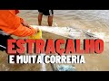 PESCARIA DE TARRAFA - SAFRA COMEÇA COM TUDO!! MUITO PEIXE