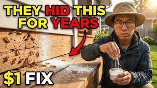 This $1 Powder KILLS Termites Forever. A $28B Industry Tried to Bury It